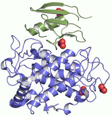 Image Asym./Biol. Unit - manually