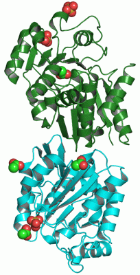 Image Asym./Biol. Unit - manually