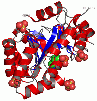 Image Asym./Biol. Unit - manually