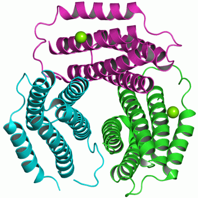 Image Asym./Biol. Unit - manually