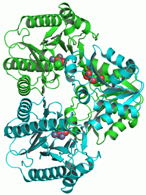 Image Asym./Biol. Unit - manually