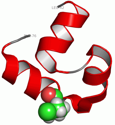 Image Asym./Biol. Unit - manually