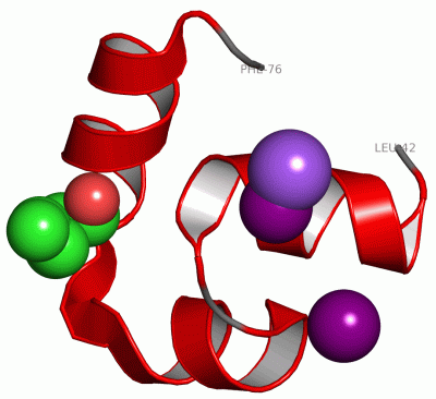 Image Asym./Biol. Unit - manually