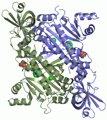 Image Asym./Biol. Unit - manually