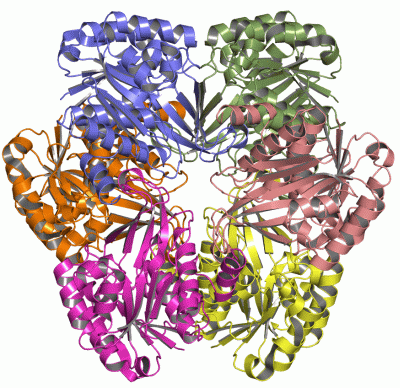 Image Asym./Biol. Unit - manually