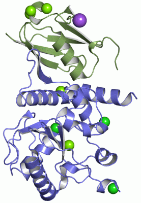 Image Asym./Biol. Unit - manually