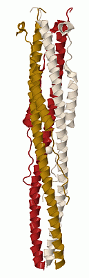 Image Biol.Unit 1 - manually