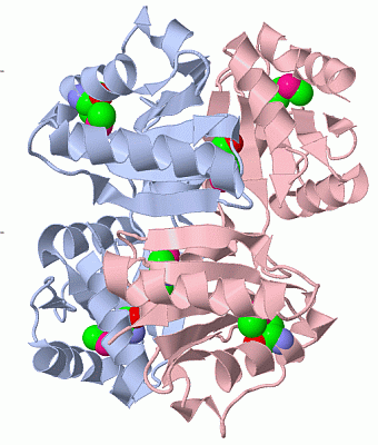 Image Biol.Unit 1 - manually