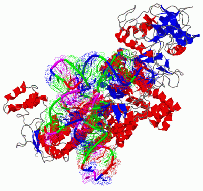 Image Biol.Unit 1 - manually