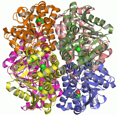 Image Asym./Biol. Unit - manually