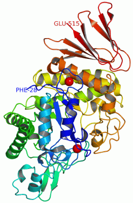 Image Asym./Biol. Unit - manually