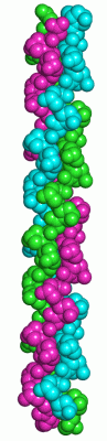 Image Asym./Biol. Unit - manually