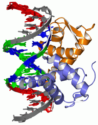 Image Theor.Model - manually