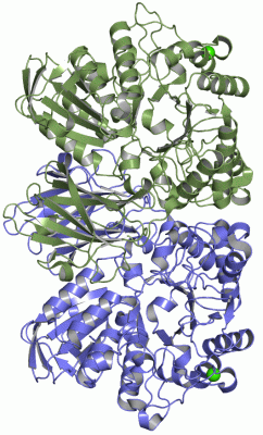 Image Asym./Biol. Unit - manually