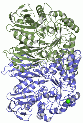 Image Asym./Biol. Unit - manually