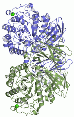 Image Asym./Biol. Unit - manually