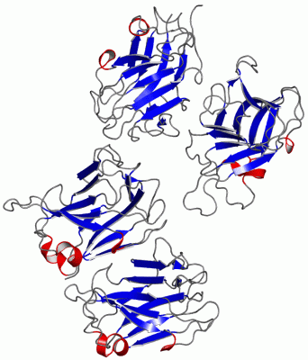 Image Asym./Biol. Unit - manually