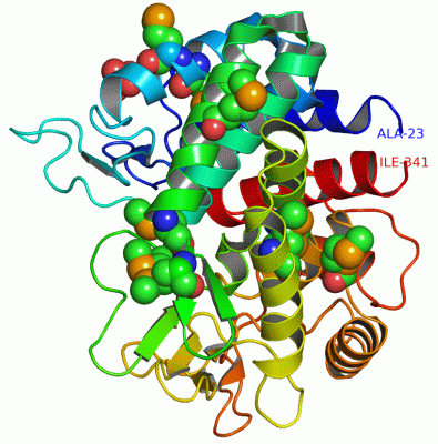 Image Asym./Biol. Unit - manually