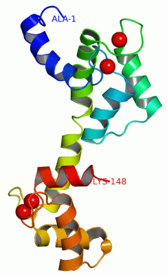 Image NMR Structure - manually