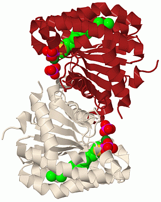 Image Biol.Unit 1 - manually