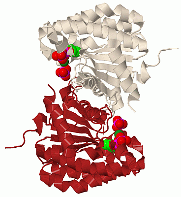 Image Biol.Unit 1 - manually