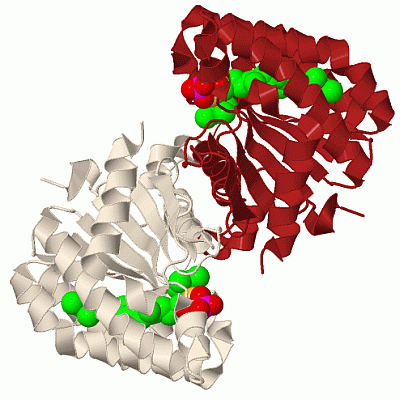 Image Biol.Unit 1 - manually