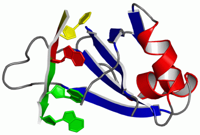 Image NMR Structure - manually