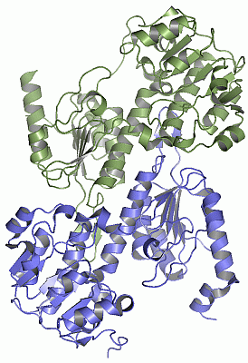 Image Asym./Biol. Unit - manually