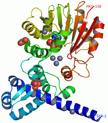 Image Asym.Unit - manually