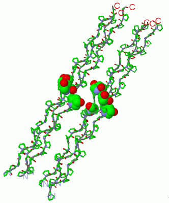 Image Asym./Biol. Unit - manually