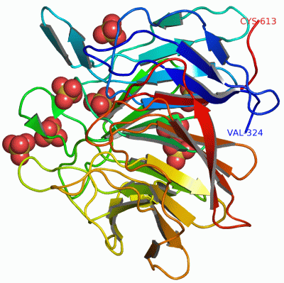 Image Asym./Biol. Unit - manually