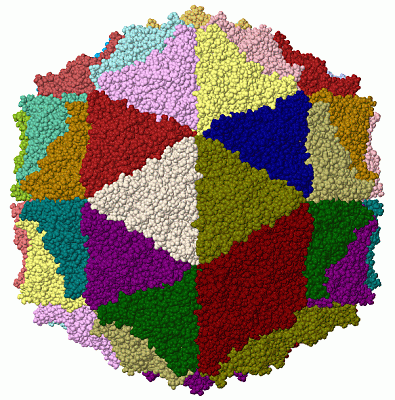 Image Biol.Unit 1 - manually