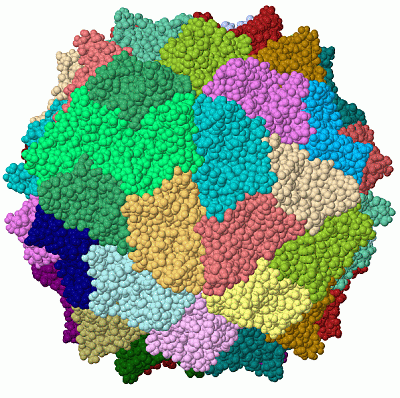 Image Biol.Unit 1 - manually