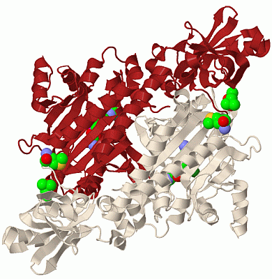 Image Biol.Unit 1 - manually