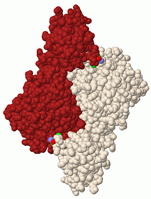 Image Biol.Unit 1 - manually