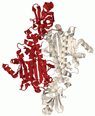 Image Biol.Unit 1 - manually