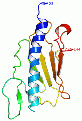 Image Asym./Biol. Unit - manually