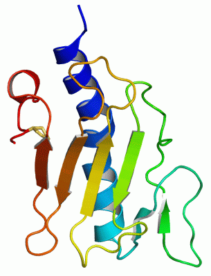 Image Asym./Biol. Unit - manually