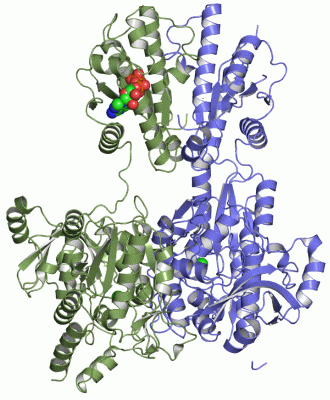 Image Asym./Biol. Unit - manually