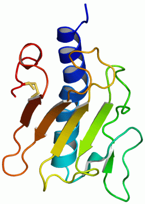 Image Asym./Biol. Unit - manually