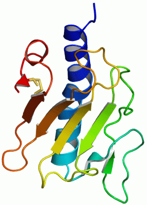 Image Asym./Biol. Unit - manually