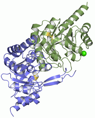 Image Asym./Biol. Unit - manually