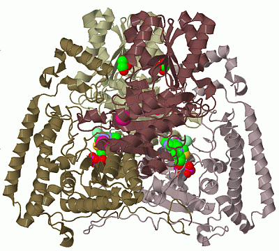 Image Biol.Unit 1 - manually