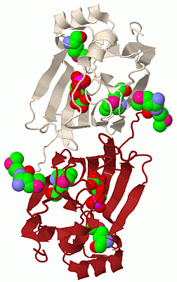 Image Biol.Unit 1 - manually