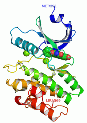 Image Asym./Biol. Unit - manually