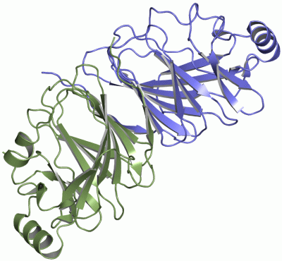 Image Asym./Biol. Unit - manually