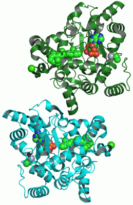 Image Asym./Biol. Unit - manually