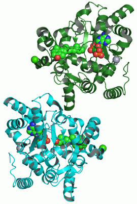 Image Asym./Biol. Unit - manually