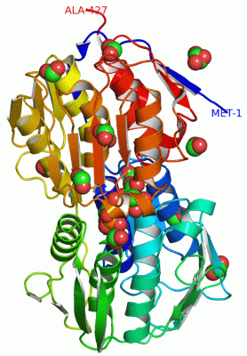 Image Asym./Biol. Unit - manually