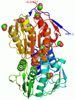 Image Asym./Biol. Unit - manually